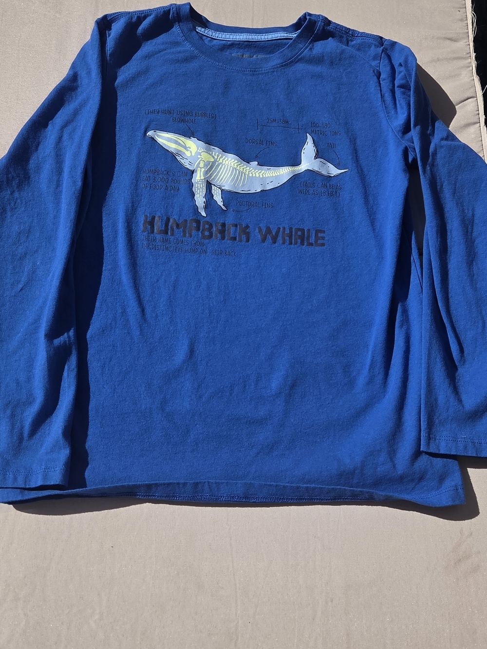 Boys XL Lands' End Blue Humpback Whale Long-Sleeve Tee